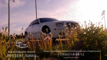 IMAG0267